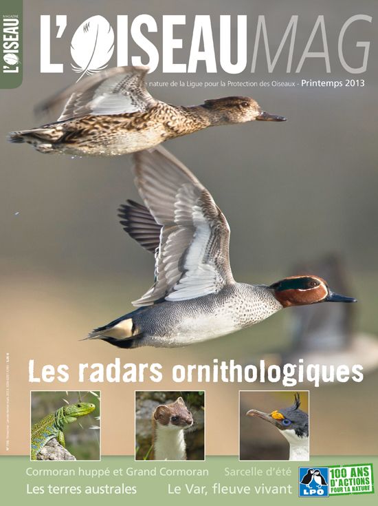 L'oiseau Magazine N° 110